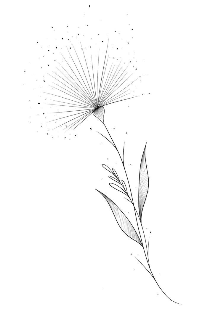 a black and white drawing of a dandelion