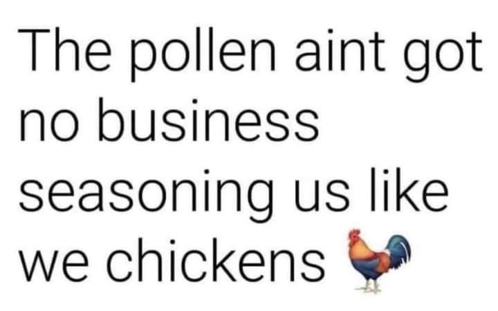 a chicken saying that the pollen anti got no business seasoning us like we chickens