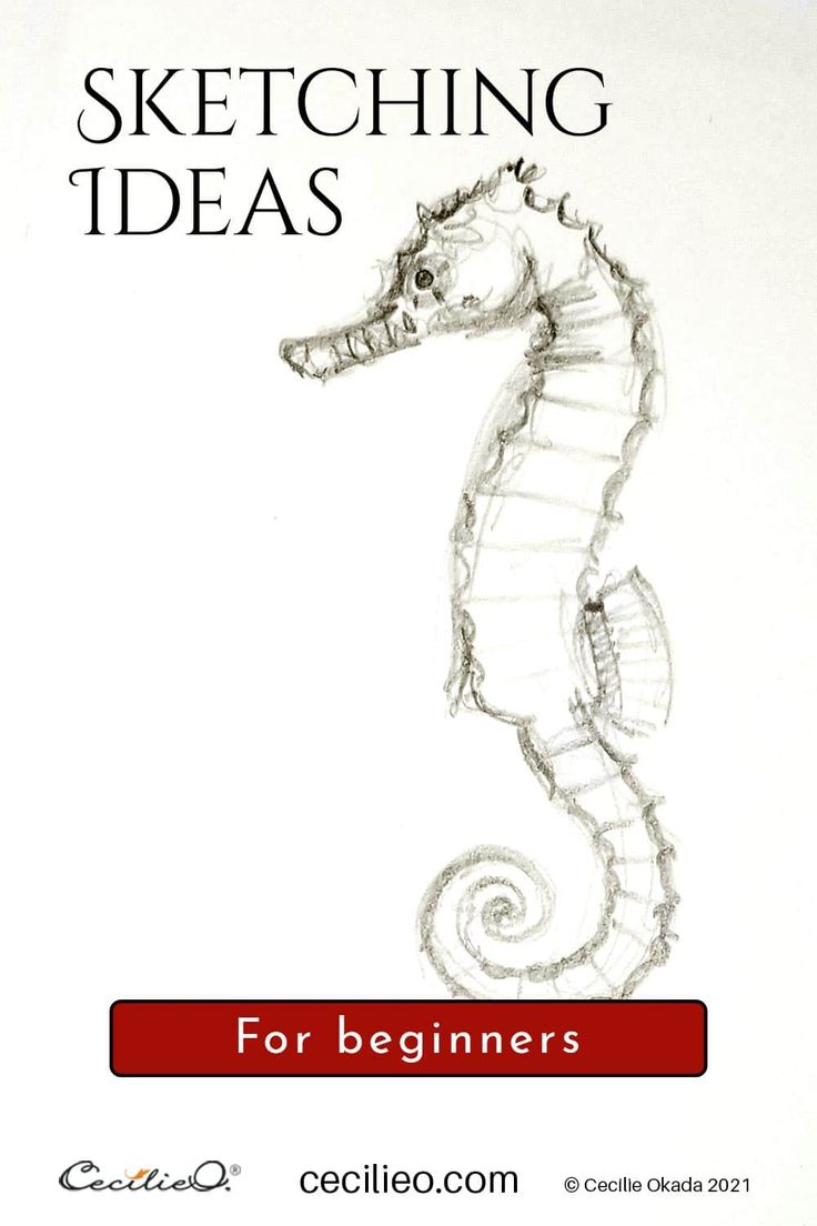 a drawing of a sea horse with the words sketching ideas for beginners on it