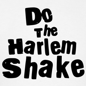 the words do the harlem shake are in black on a white t - shirt that says do