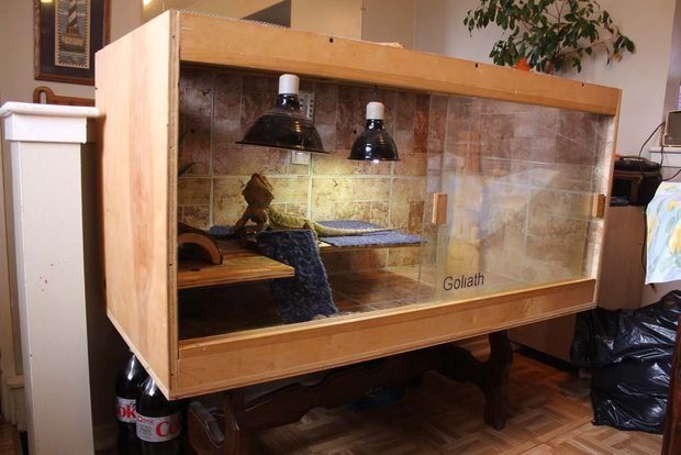 a fish tank sitting on top of a wooden table