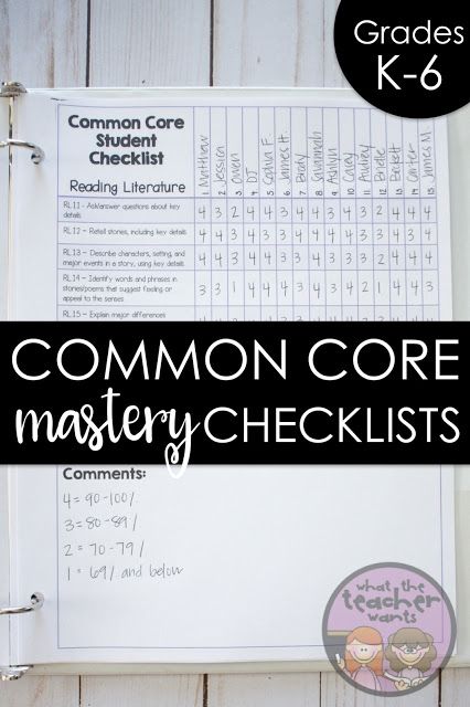 the common core mystery checklist is shown in this printable binder for kids