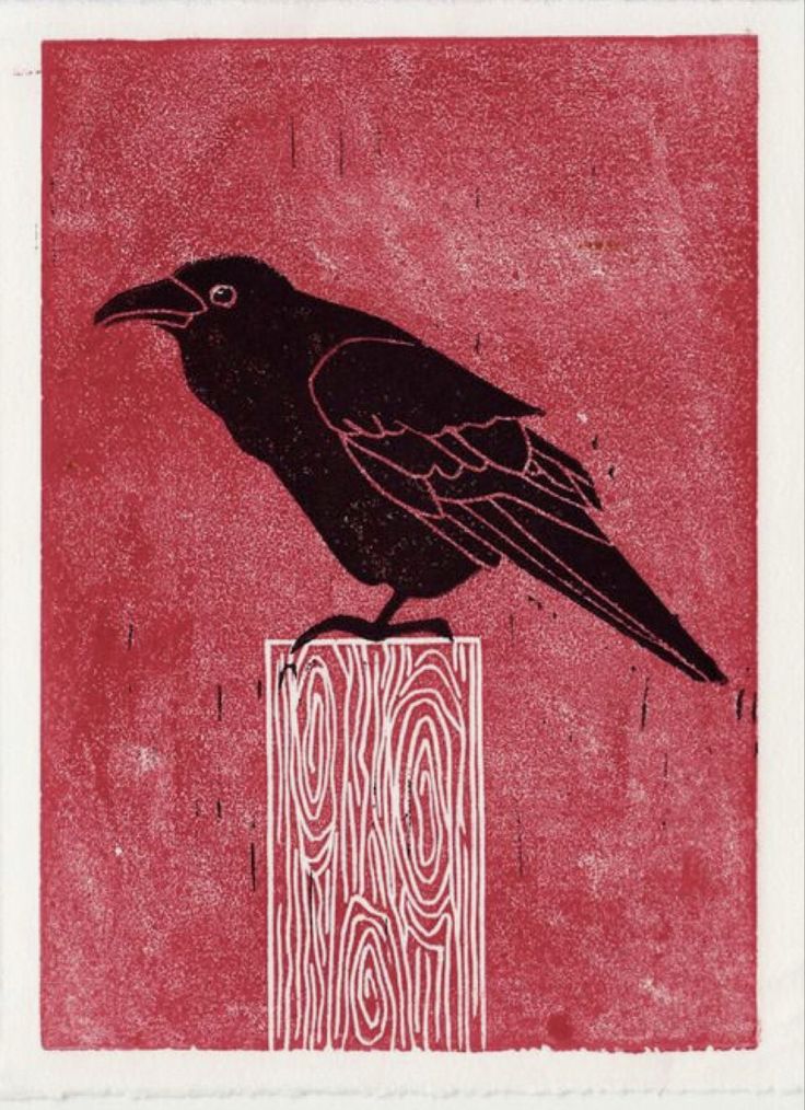 a black bird sitting on top of a piece of red paper next to a wooden fence