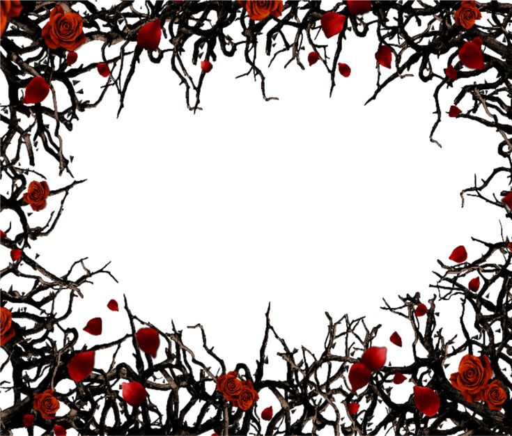 the frame is made up of branches with red roses on them, and there are no leaves