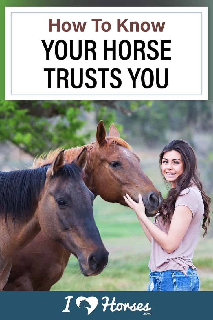 a woman petting two horses with the words how to know your horse trusts you