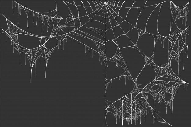 an abstract black and white image of spider webs with icicles hanging from them