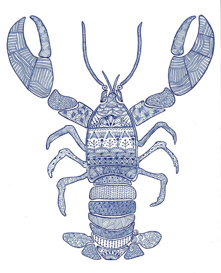 a drawing of a blue lobster with intricate patterns on it's body and legs