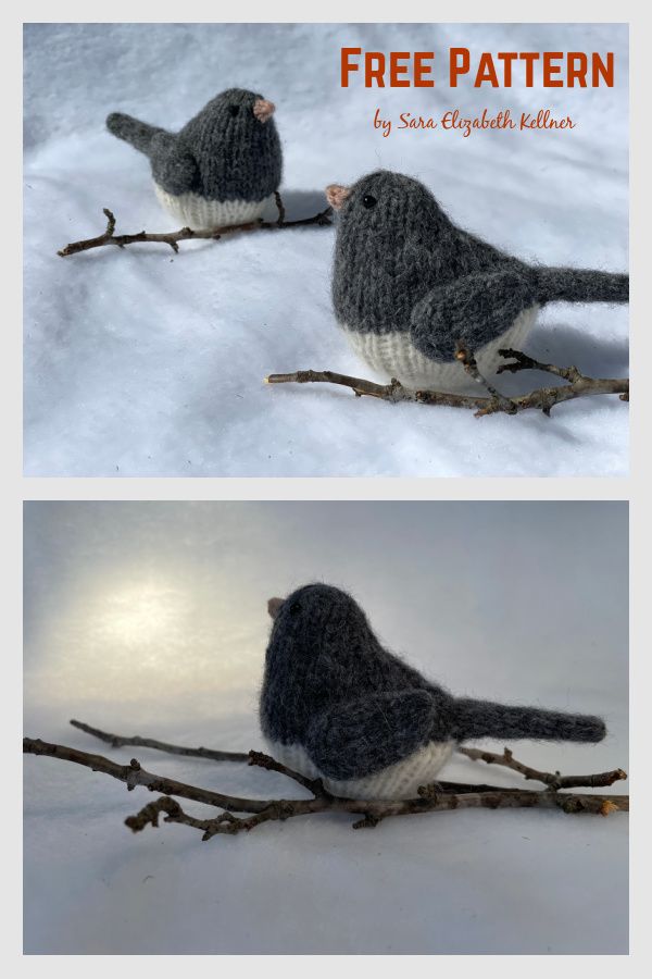 two pictures of birds sitting on branches in the snow, one is black and white