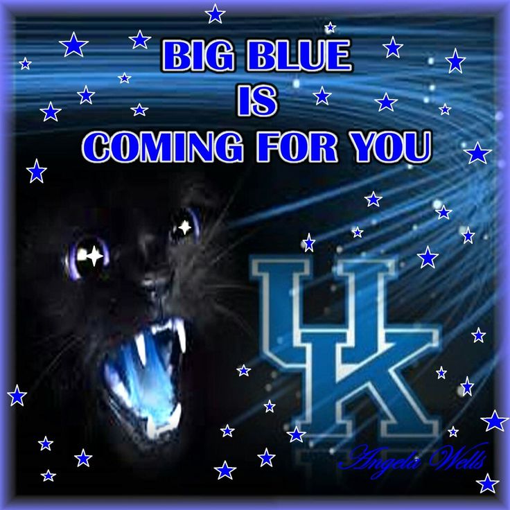 a black cat with its mouth open and stars in the background that says, big blue is coming for you