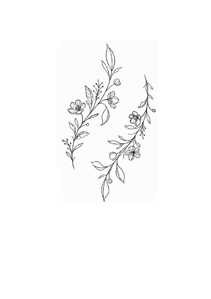 some flowers that are on the side of a white wall and one is drawn in black ink