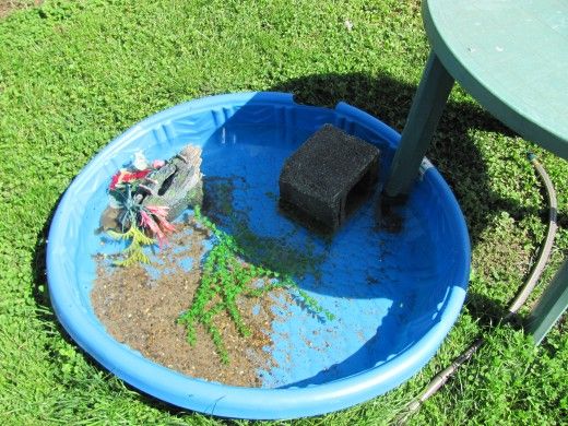 a blue frisbee sitting in the grass next to a table