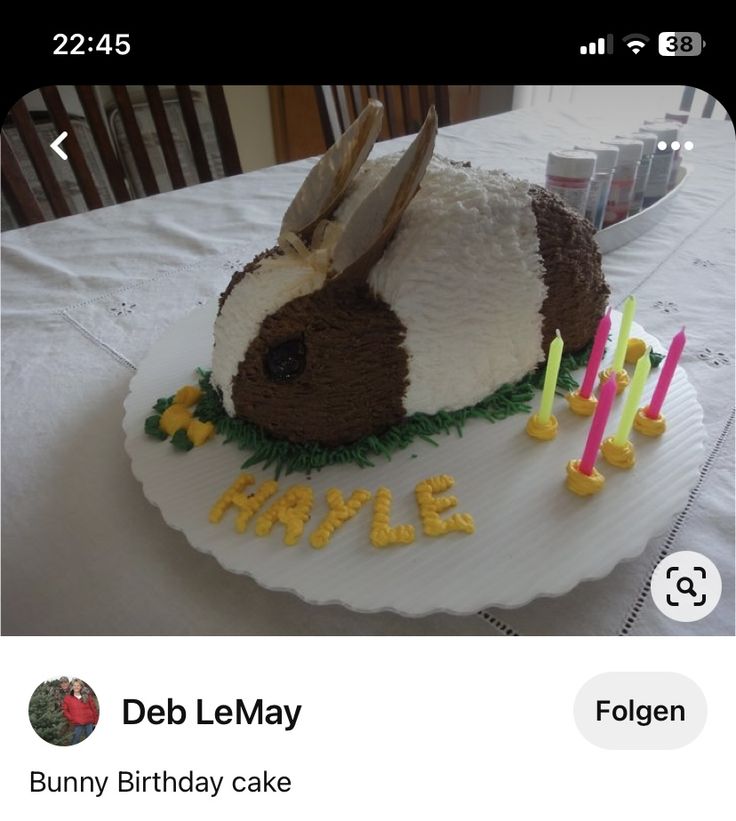 a cake with candles on top of it that reads, deb lemay hayle bunny birthday cake