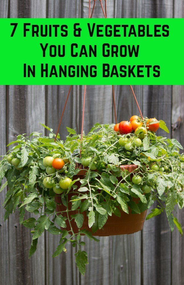 a hanging basket filled with fruits and vegetables