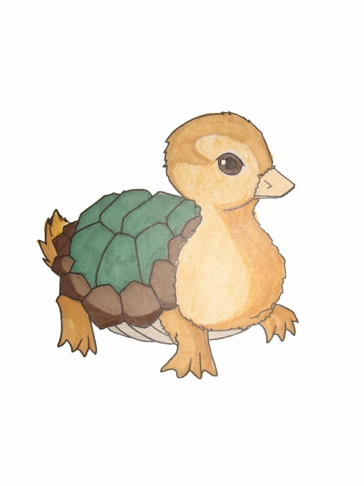 a drawing of a small turtle sitting on top of it's back legs and head