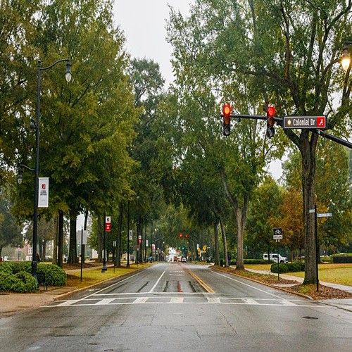 an empty street with traffic lights and trees on both sides in the background is a park