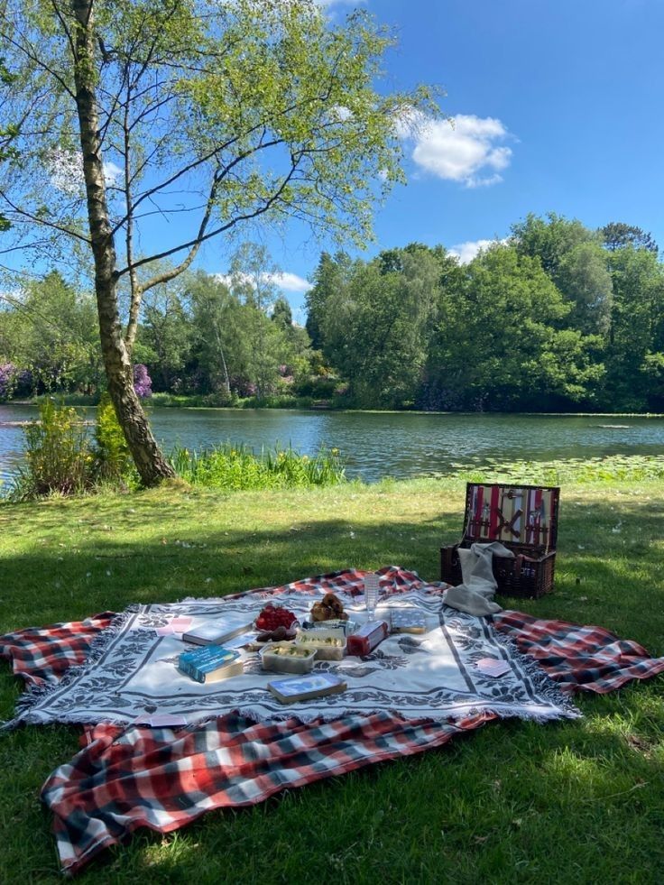 a picnic on the grass next to a body of water with trees in the background