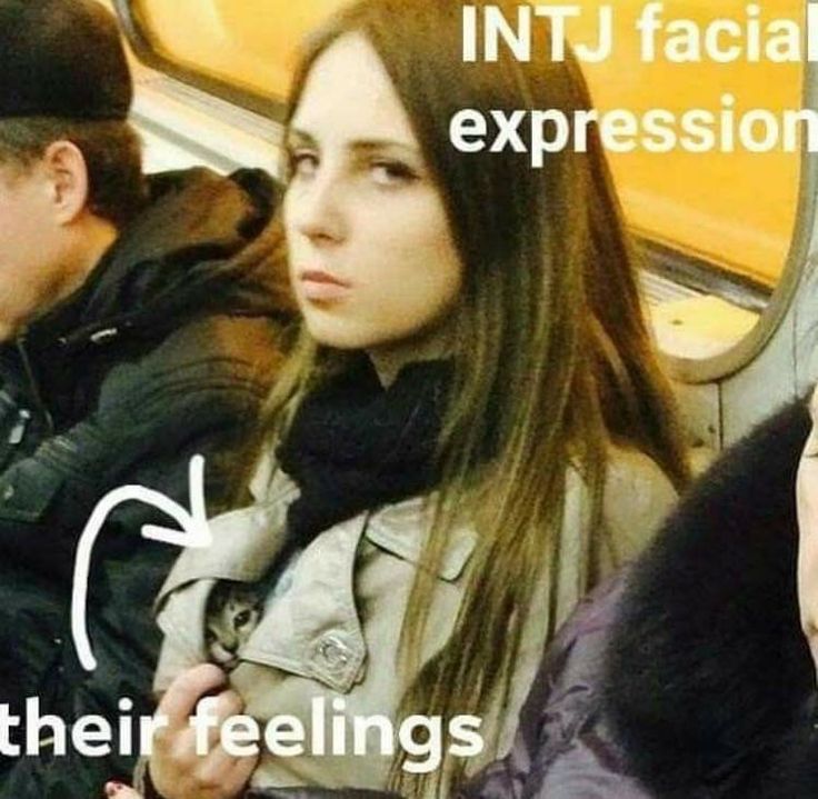 Intj X Istj, Intj Core, Intj Things, Intj Infp, Entp And Intj, Intj Humor, Personalidad Enfp, Intj Enfp, Intj Women