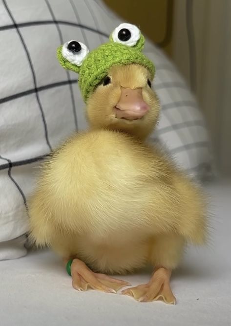 a small yellow duck wearing a green knitted hat and sitting on a bed with pillows