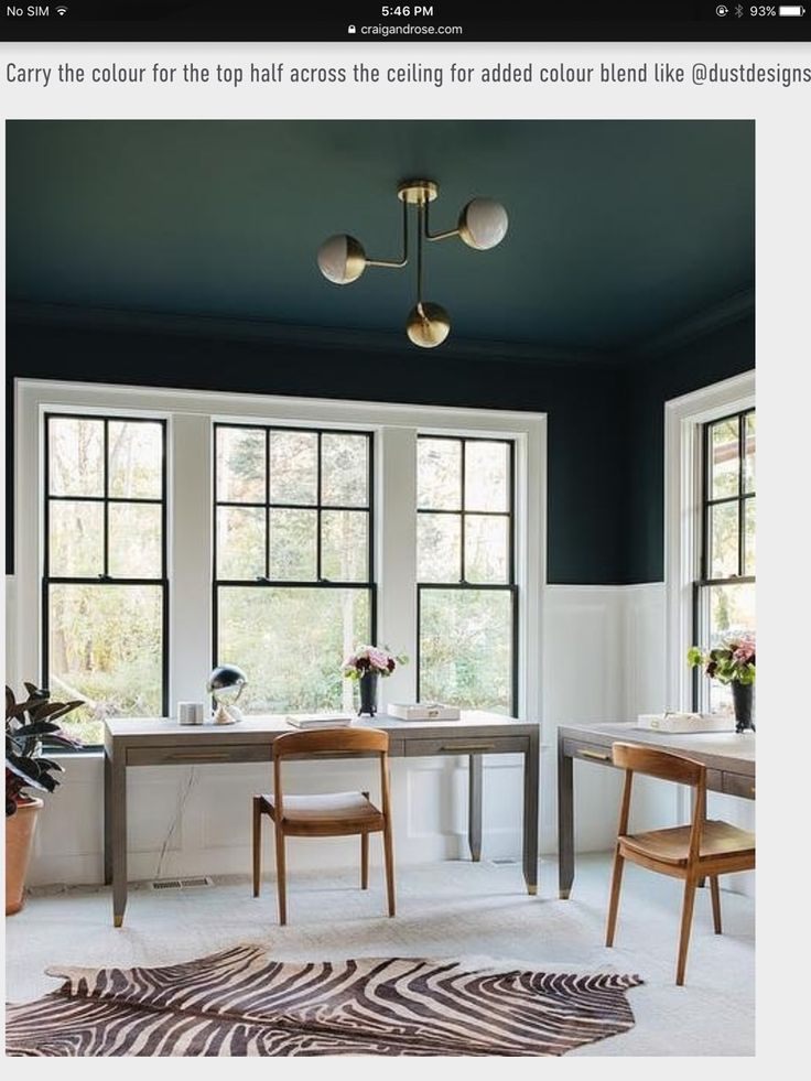 an instagram photo of a dining room with zebra rug