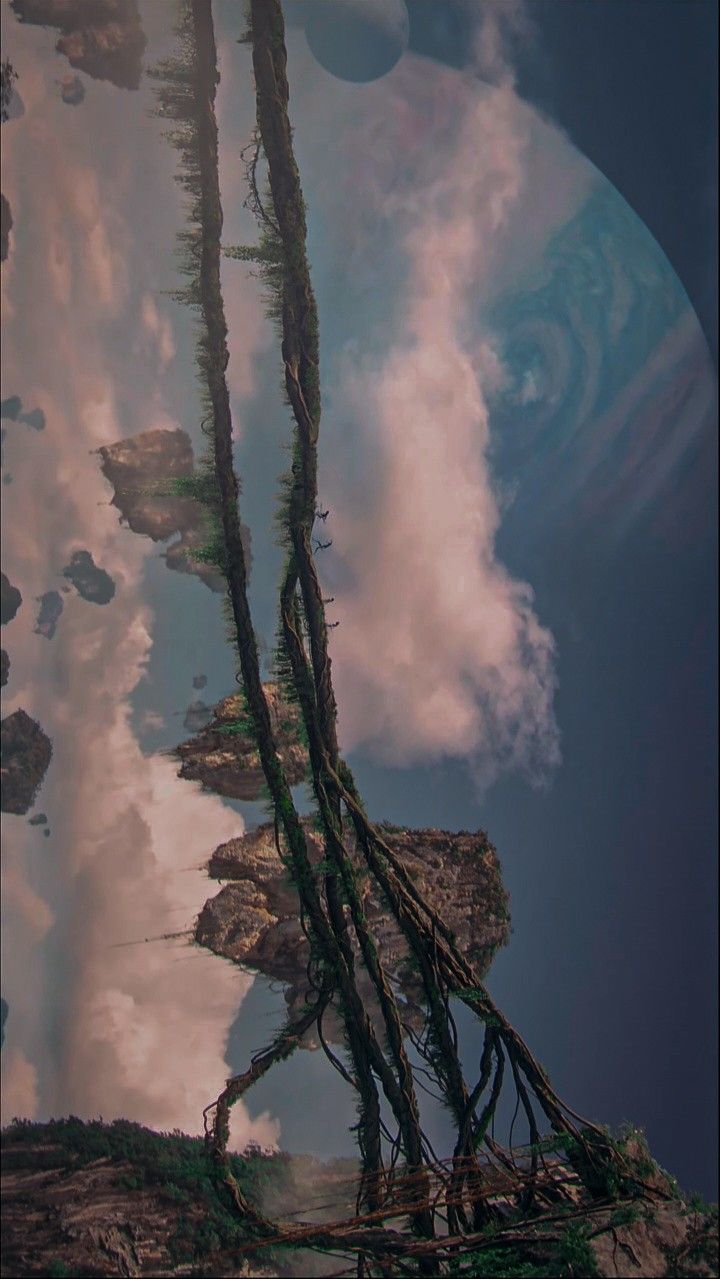 the sky is reflected in the water and tree branches are growing on the shore line