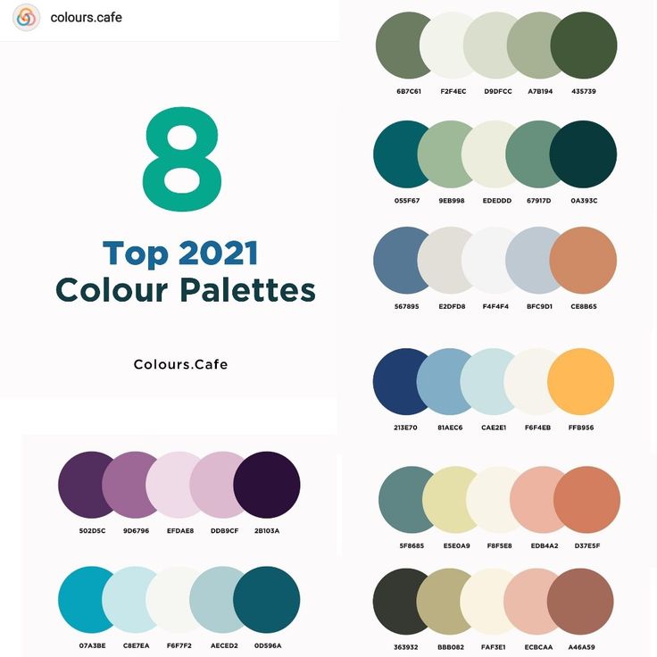 the color palettes are all in different shades and sizes, with text that reads 8 top