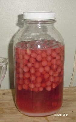 a jar filled with red liquid sitting on top of a wooden table