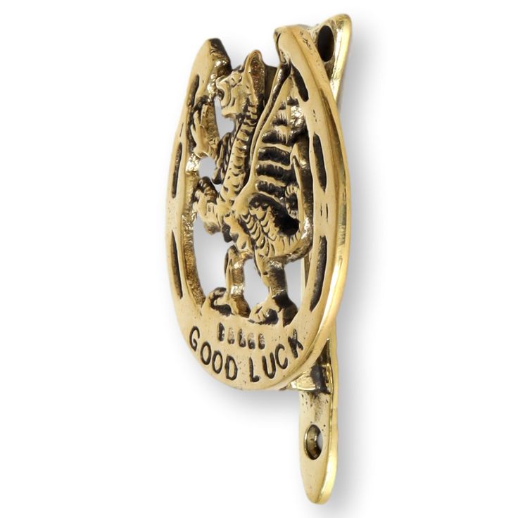 a gold brooch with the words good luck and a dragon on it's side