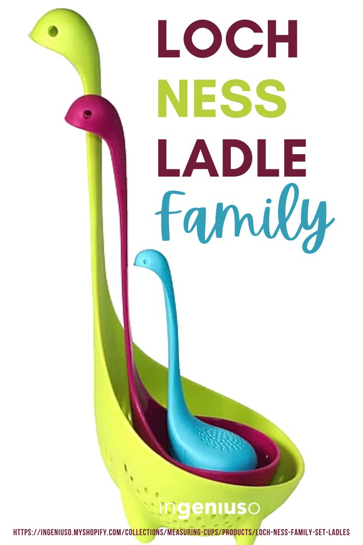 an advertisement for the loch nesss ladies'paddle family, featuring two flamingos in