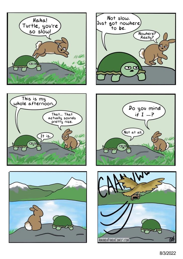 a comic strip with an image of a turtle being chased by a tortoise