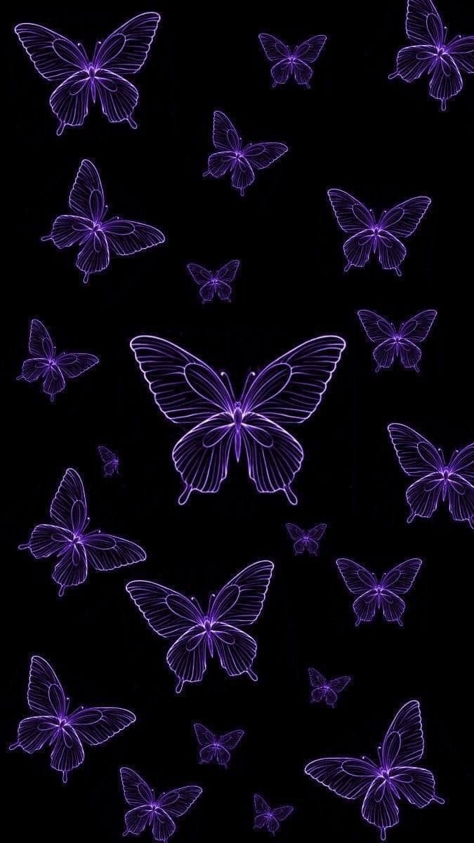 purple butterflies are flying in the dark