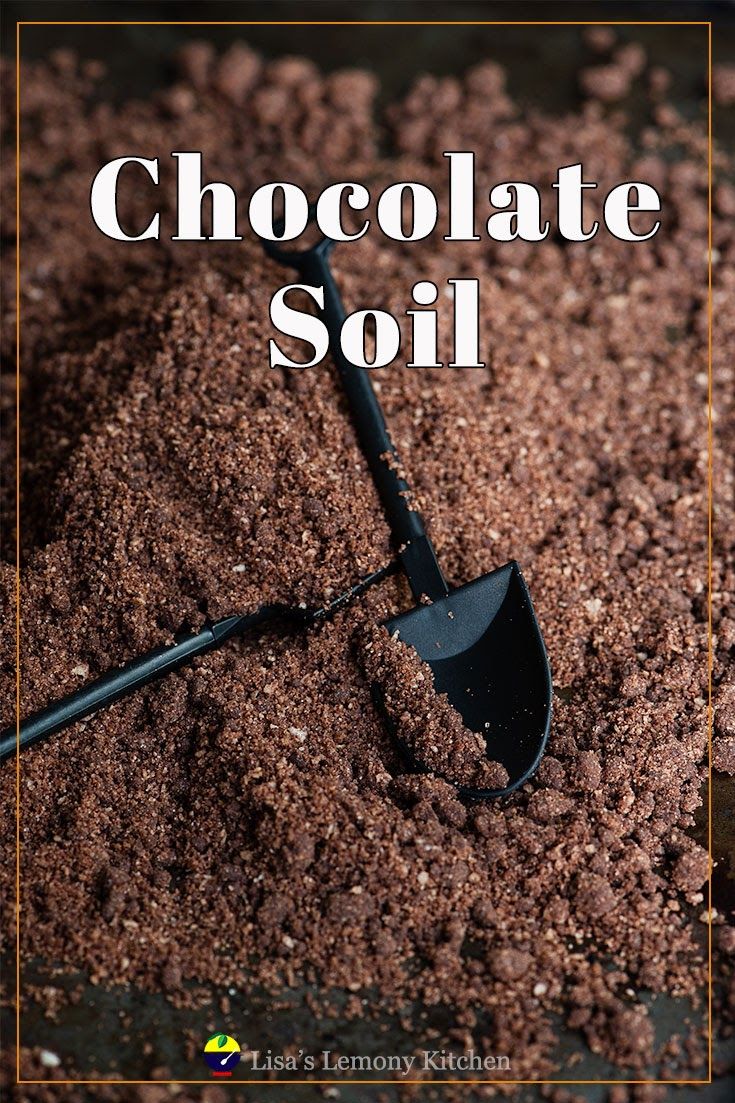 chocolate dirt Edible Soil Recipe, Edible Dirt For Cakes, Edible Dirt Sensory, Edible Dirt Recipe, Chocolate Soil Recipe, Edible Soil, Edible Dirt, Dirt Recipe, Moss Cake