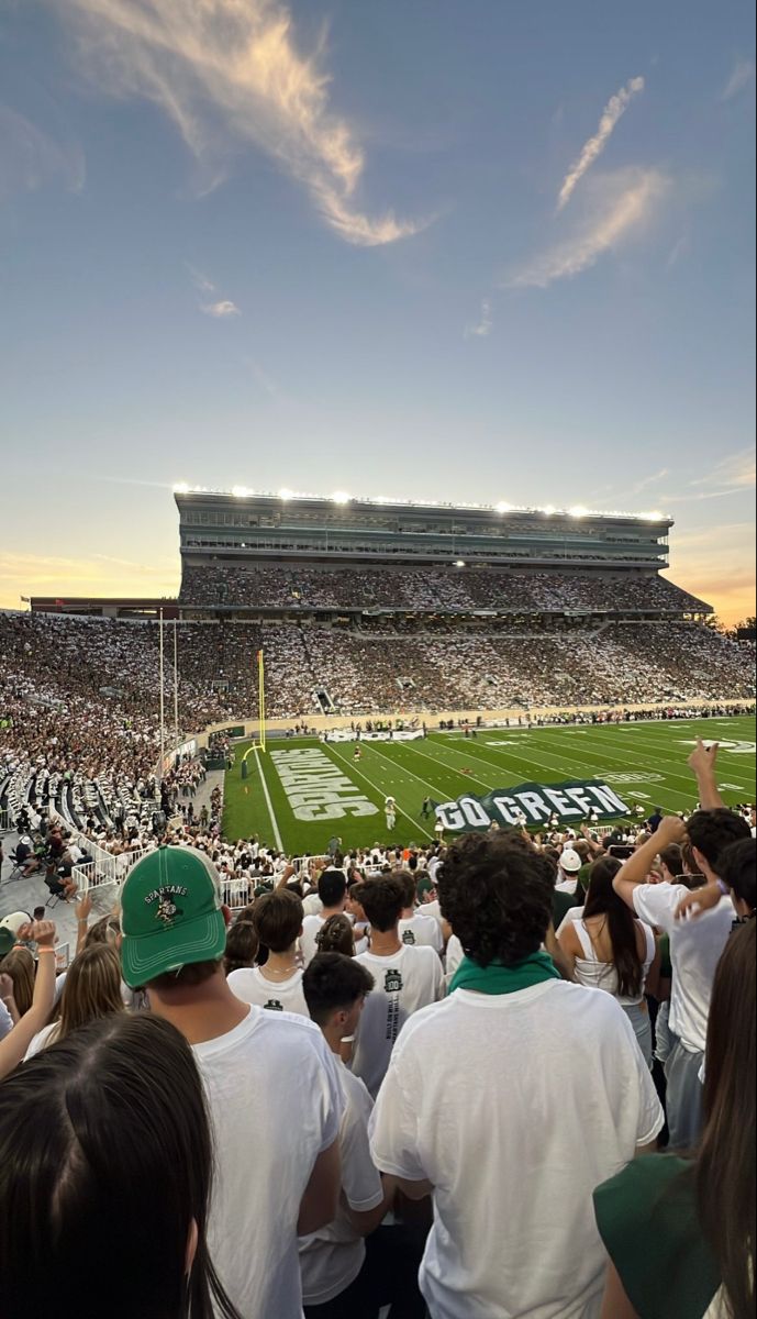 a football stadium filled with lots of people