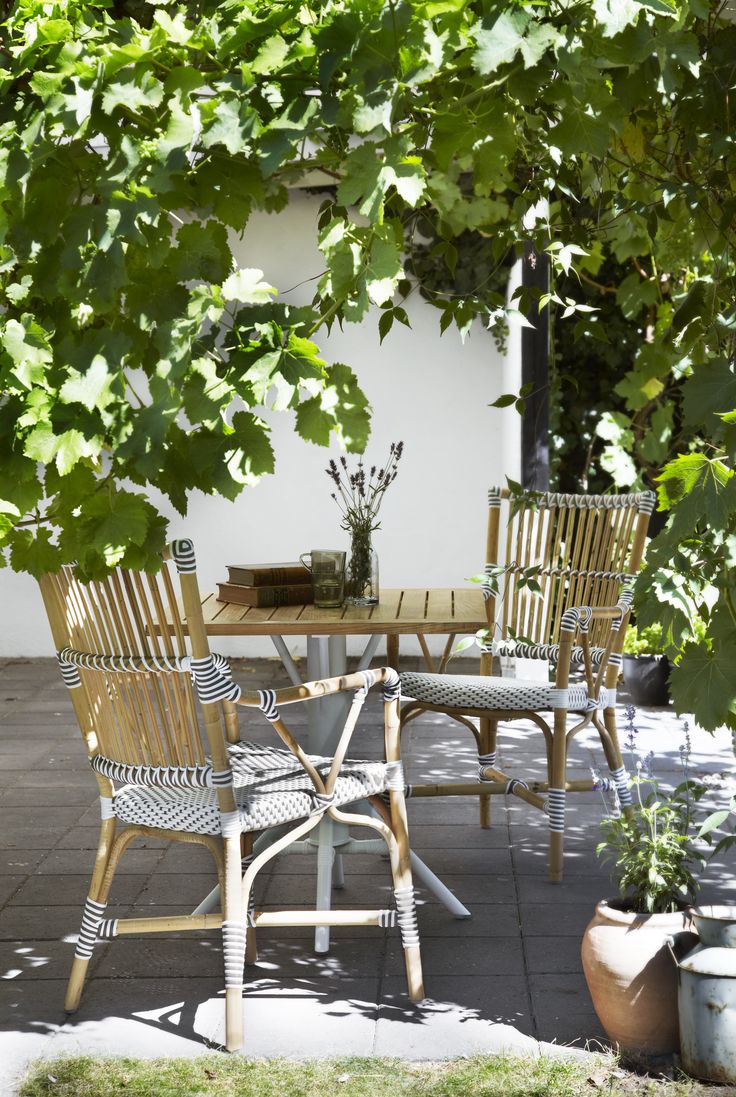 an outdoor dining table and chairs under a tree with green leaves on the outside wall