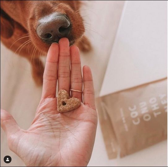 a person holding a dog's paw with a heart shaped cookie in their hand