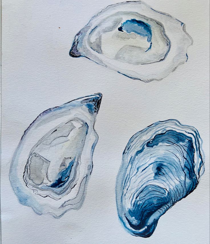 three seashells on white paper with blue ink