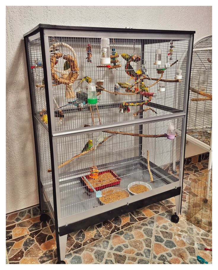 a bird cage filled with lots of birds