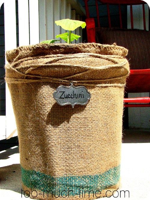 a burlap bag with a plant growing out of it