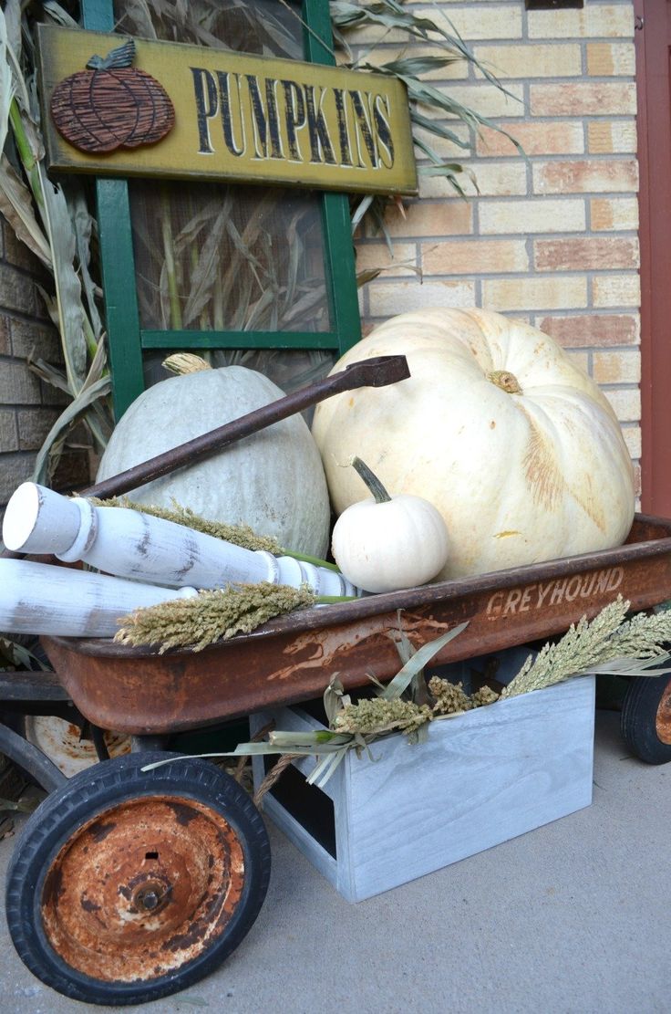 pumpkins and gourds sit in a wheelbarrow