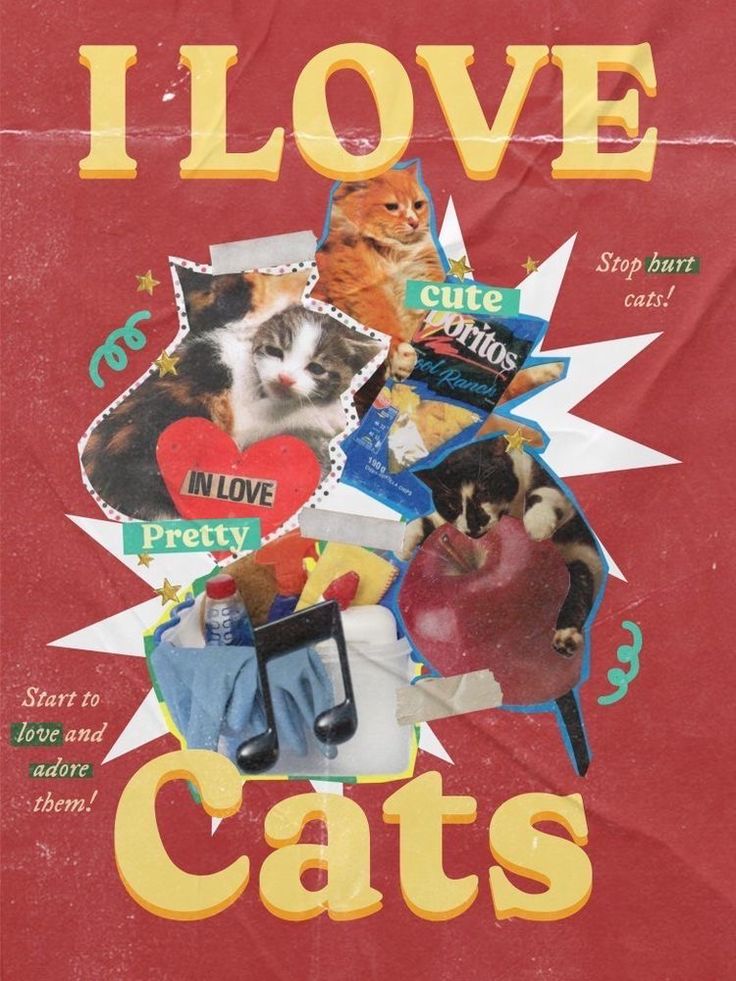 a poster with pictures of cats on it's back and words that say i love cats