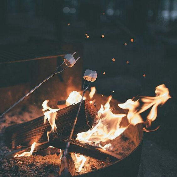 a fire pit with flames burning in the middle and some sticks sticking out of it