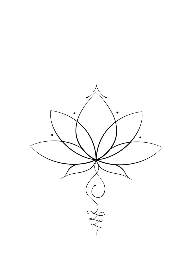 a drawing of a lotus flower on a white background