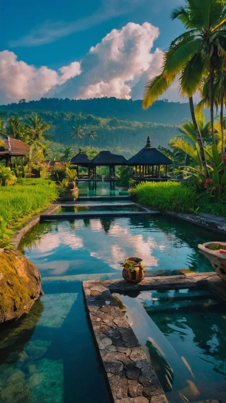 an outdoor swimming pool surrounded by lush green grass and palm trees, with mountains in the background