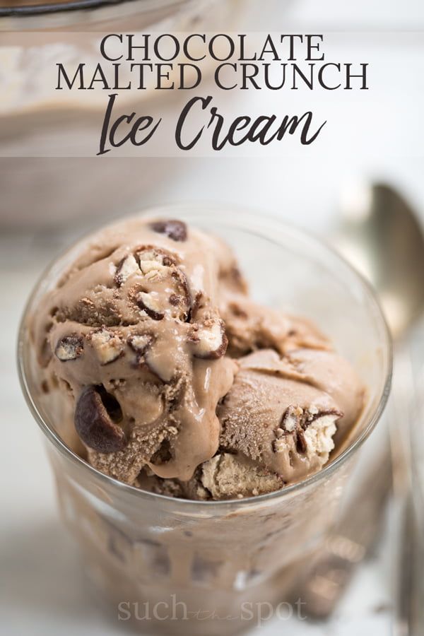 chocolate malted crunch ice cream in a glass bowl