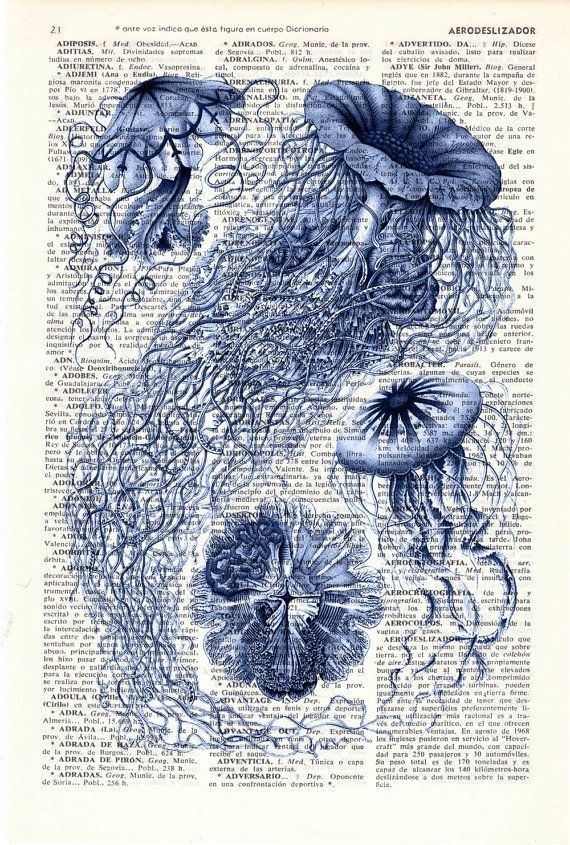 an old book page with jellyfish and seaweed on it