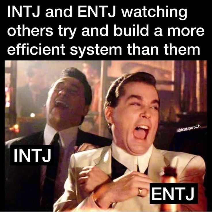 Entj And Intj Relationship, Mbti Entj, Entj Relationships, Intj Humor, Intj Enfp, Entj Personality, Intj Women, Intj T, Intj And Infj