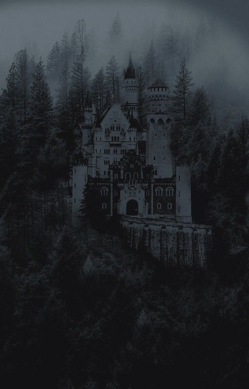 an old castle in the middle of a forest on a foggy day with trees around it