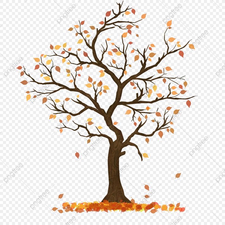 an autumn tree with falling leaves on the ground, transparent background png clipart