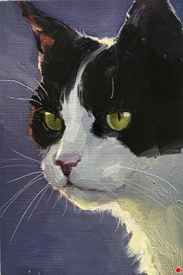 a painting of a black and white cat with yellow eyes looking to the side,