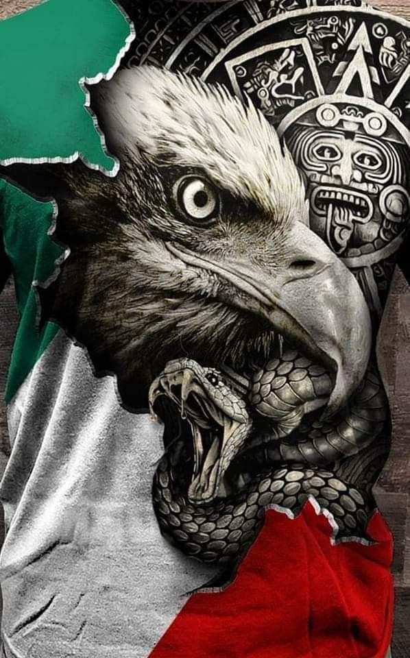 the back of a man's shirt with an eagle and mexican flag on it