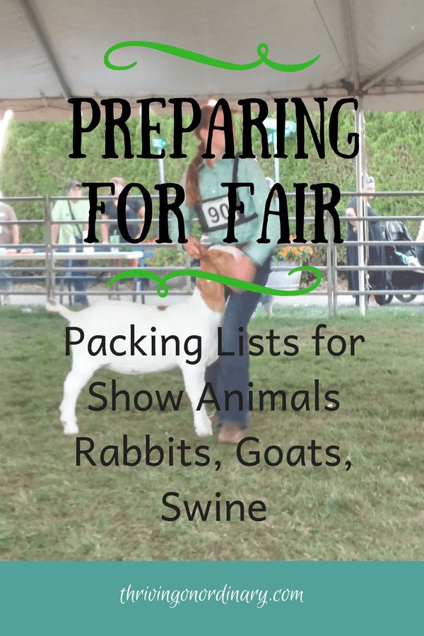 a woman standing next to a dog on top of a lush green field with text reading preparing for fair packing lists for show animals rabbits, goats, swine